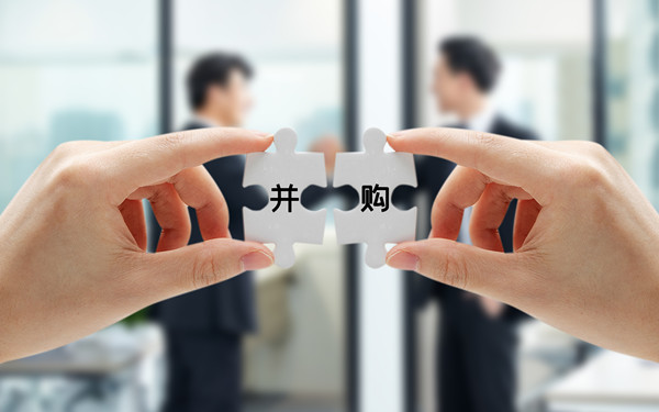 戰(zhàn)略投資與并購(gòu)：拓展企業(yè)規(guī)模，增強(qiáng)市場(chǎng)競(jìng)爭(zhēng)力