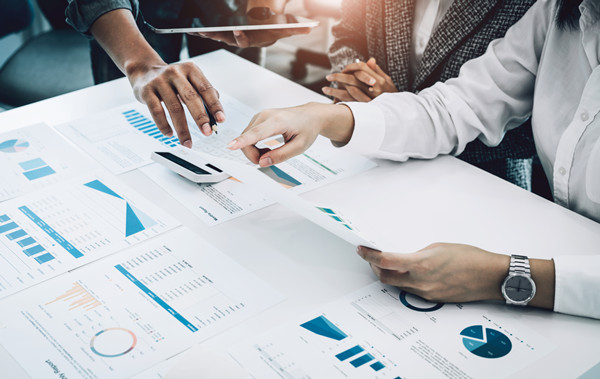 預(yù)算分析咨詢：提供分析工具與策略，幫助企業(yè)發(fā)現(xiàn)問題