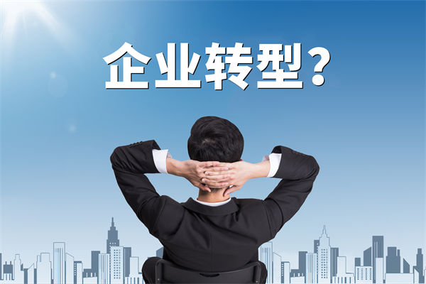 企業(yè)轉(zhuǎn)型無(wú)方向，數(shù)智化咨詢公司能否指引明路？