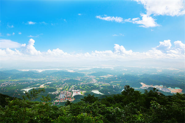 企業(yè)戰(zhàn)略飄在半空落地難，惠州戰(zhàn)略咨詢公司能錨定方向嗎？